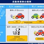 対人 賠償 保険 免責