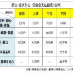 搭乗 者 傷害 保険 金額