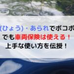 雹害 車両 保険