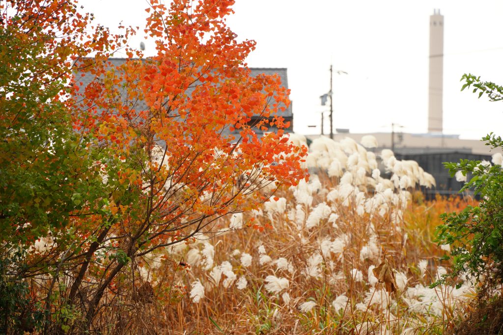 Kitanagoya