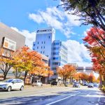 Niigata